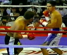 antonio margarito