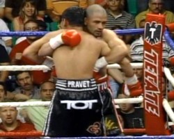 cotto