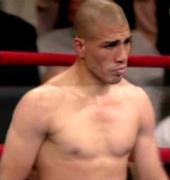 cotto