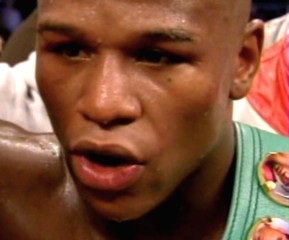 floyd mayweather jr.