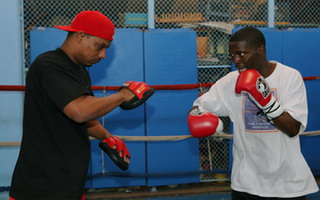 spinks