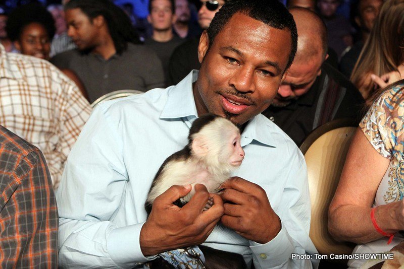 Mosley v Mayorga 2 in Serious Jeopardy / Don King Trying to Pull the Plug