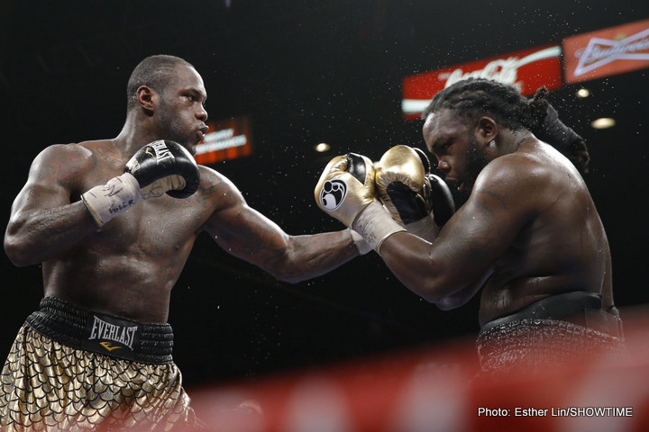 Why do people compare Deontay Wilder and Anthony Joshua?