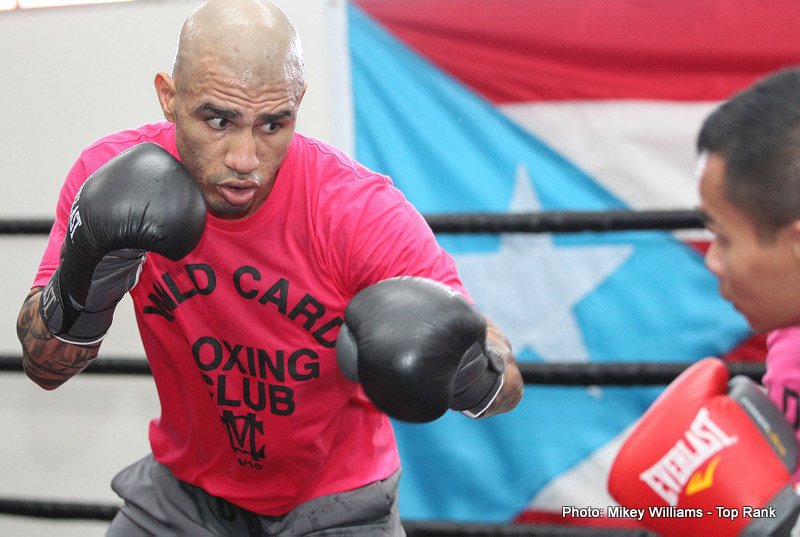 Miguel Cotto, Tim Bradley boxing image / photo