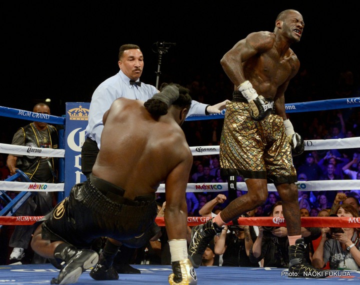 Deontay Wilder: Heavyweight Champion of the World