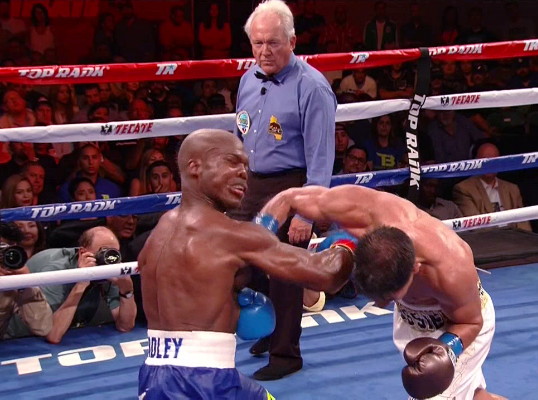 Tough Night All Around - Bradley beats Vargas