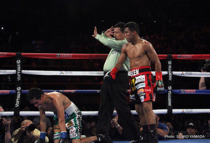 Roman Gonzalez/Brian Viloria a Done Deal for Golovkin/Lemieux PPV