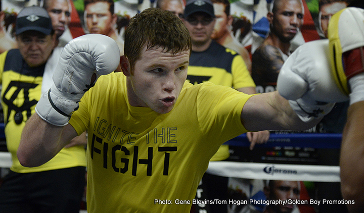 Canelo: I'm totally focused on Cotto