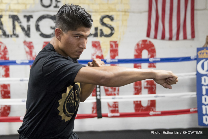 Mikey Garcia vs. Dejan Zlaticanin on 1/28