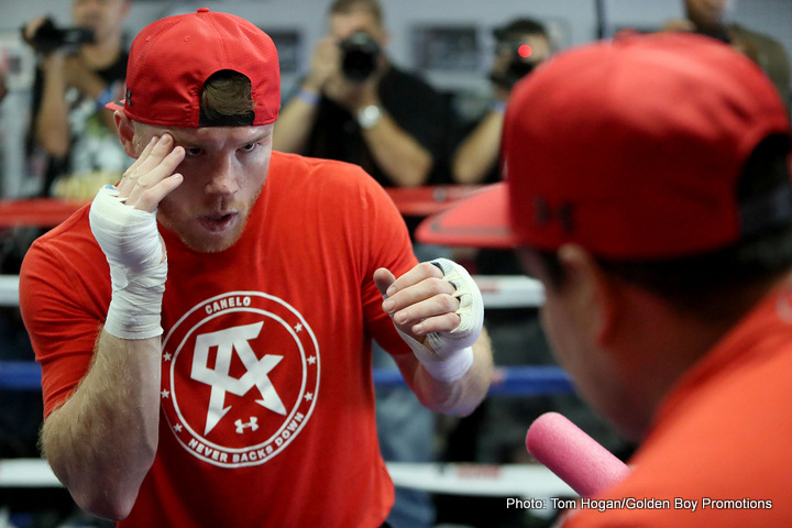 Canelo - Mexican Warrior or Diva?