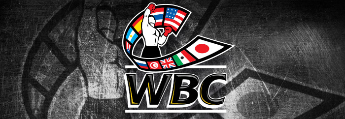 WBC News: Mike Towell, Wilder, Garcia, More