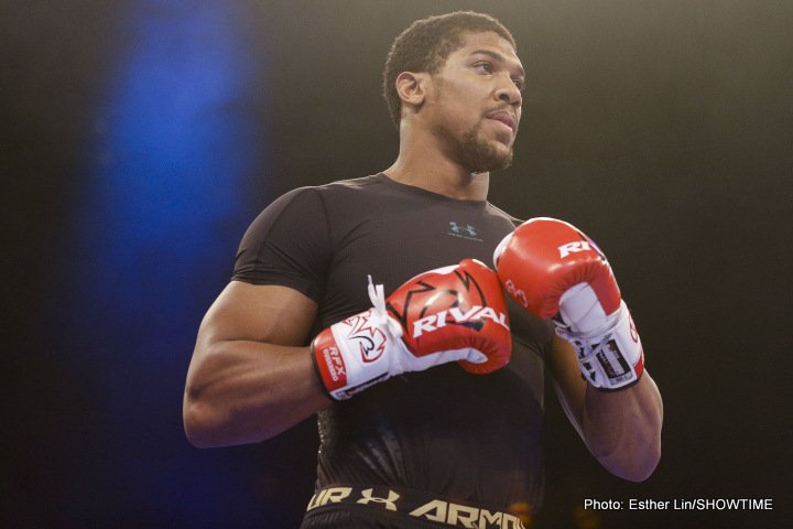 Anthony Joshua Media Conference Call Interview Transcript