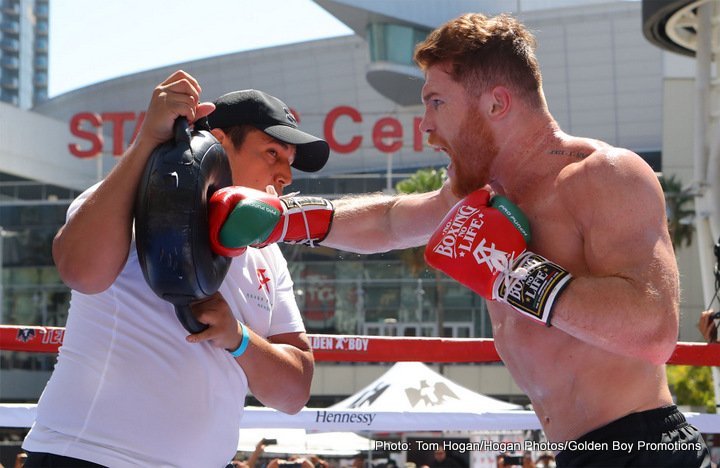 De La Hoya says Canelo would KO Conor McGregor in one round