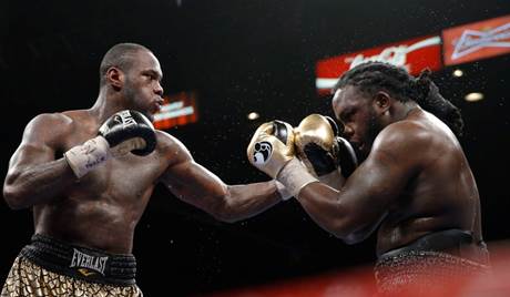 Deontay Wilder faces Bermane Stiverne on Nov.4