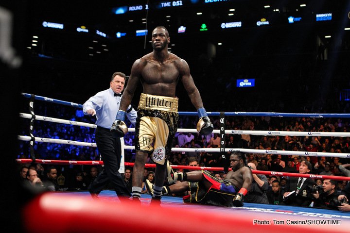 Viciously victorious over Stiverne, Wilder again calls out Joshua