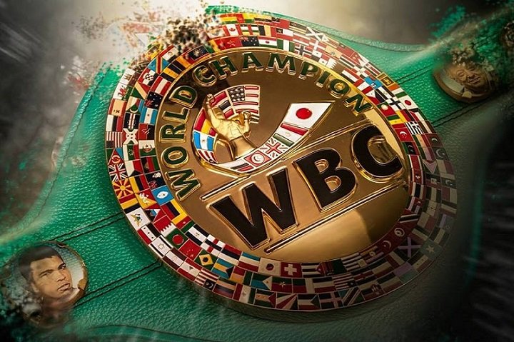 WBC Light heavyweight division status clarification Eledier Alvarez Oleksandr Gvozdyk Press Room