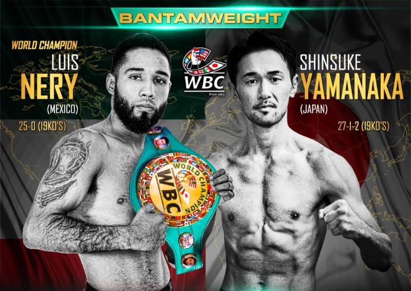 Luis Nery vs. Shinsuke Yamanaka 2 - WBC stats Luis Nery Shinsuke Yamanaka Press Room