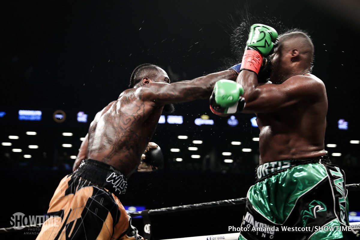 Shelly Finkel responds: Deontay Wilder is ready to sign and come to the UK to fight this summer