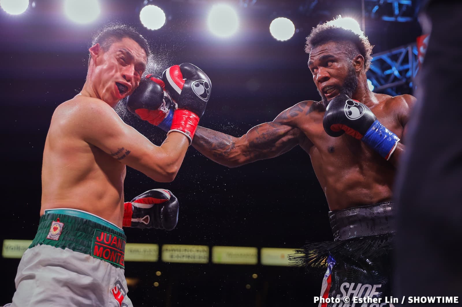 Carlos Adames Captures Interim WBC Middleweight Title - Boxing Results