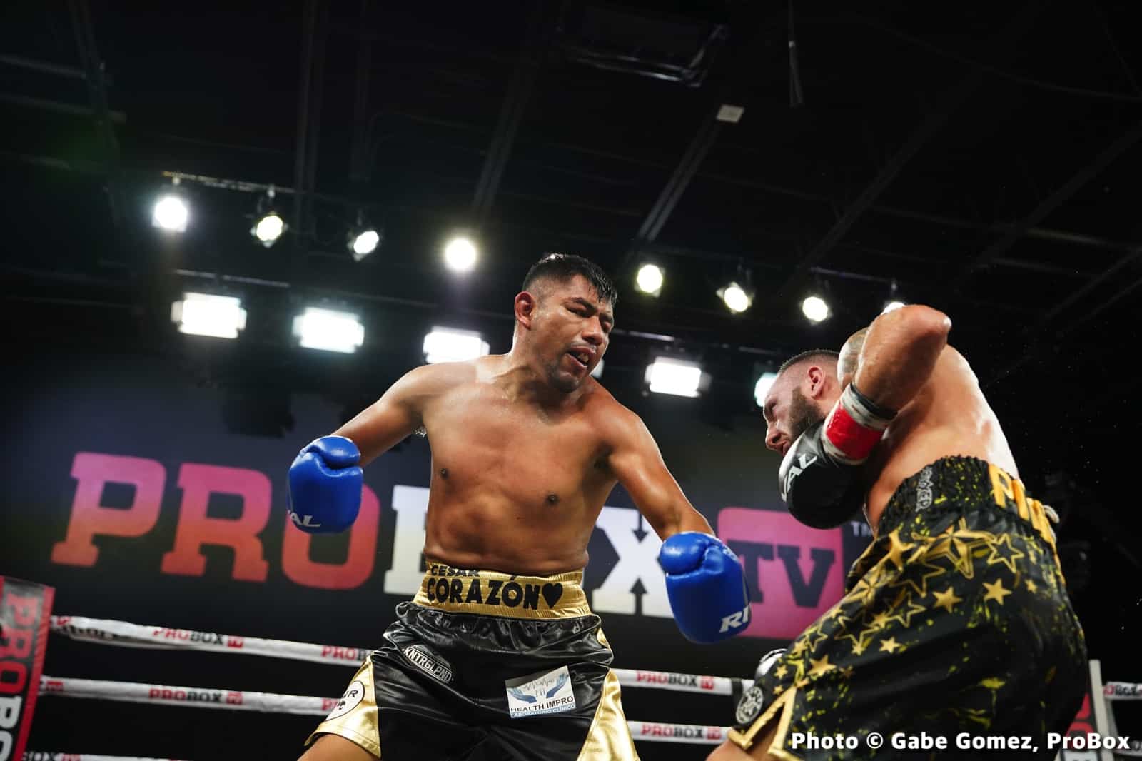 Brandon Glanton Wins WBO Global Jr Heavyweight Title - Boxing Results