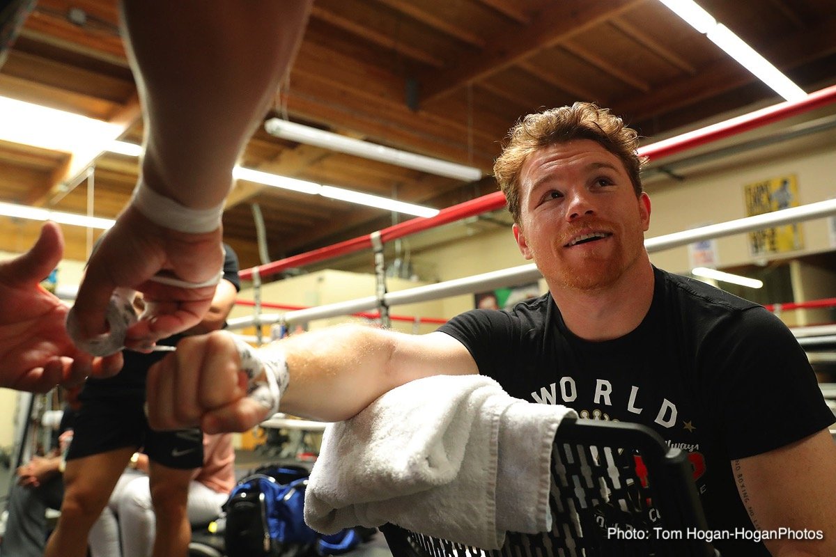 Canelo Alvarez Rates Gennady Golovkin's Punch-Power: From one to ten, he's an 8-9 out of ten