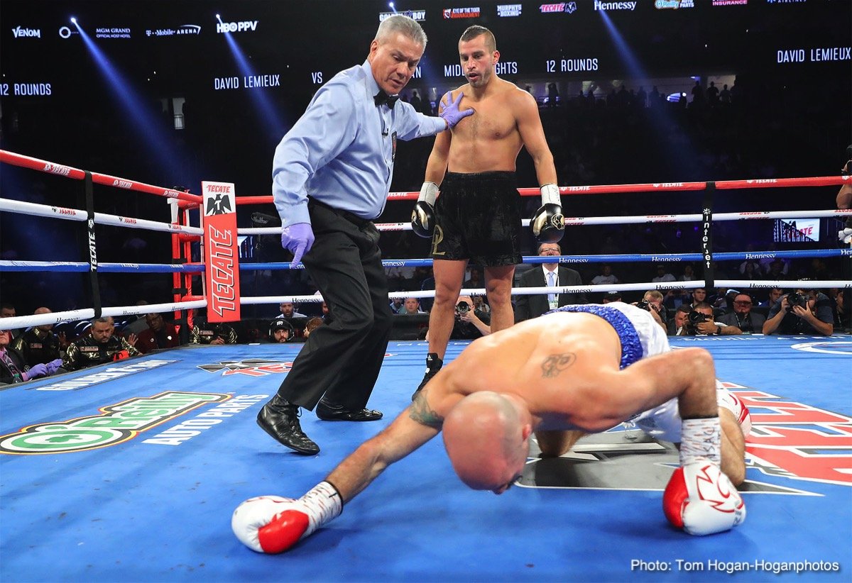 What Next For David Lemieux?