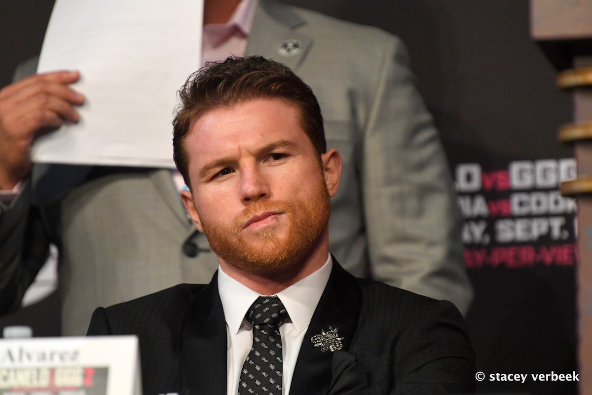 Which Super-Fight Would You Rather See In 2019: Canelo Golovkin III or Mayweather Canelo II?