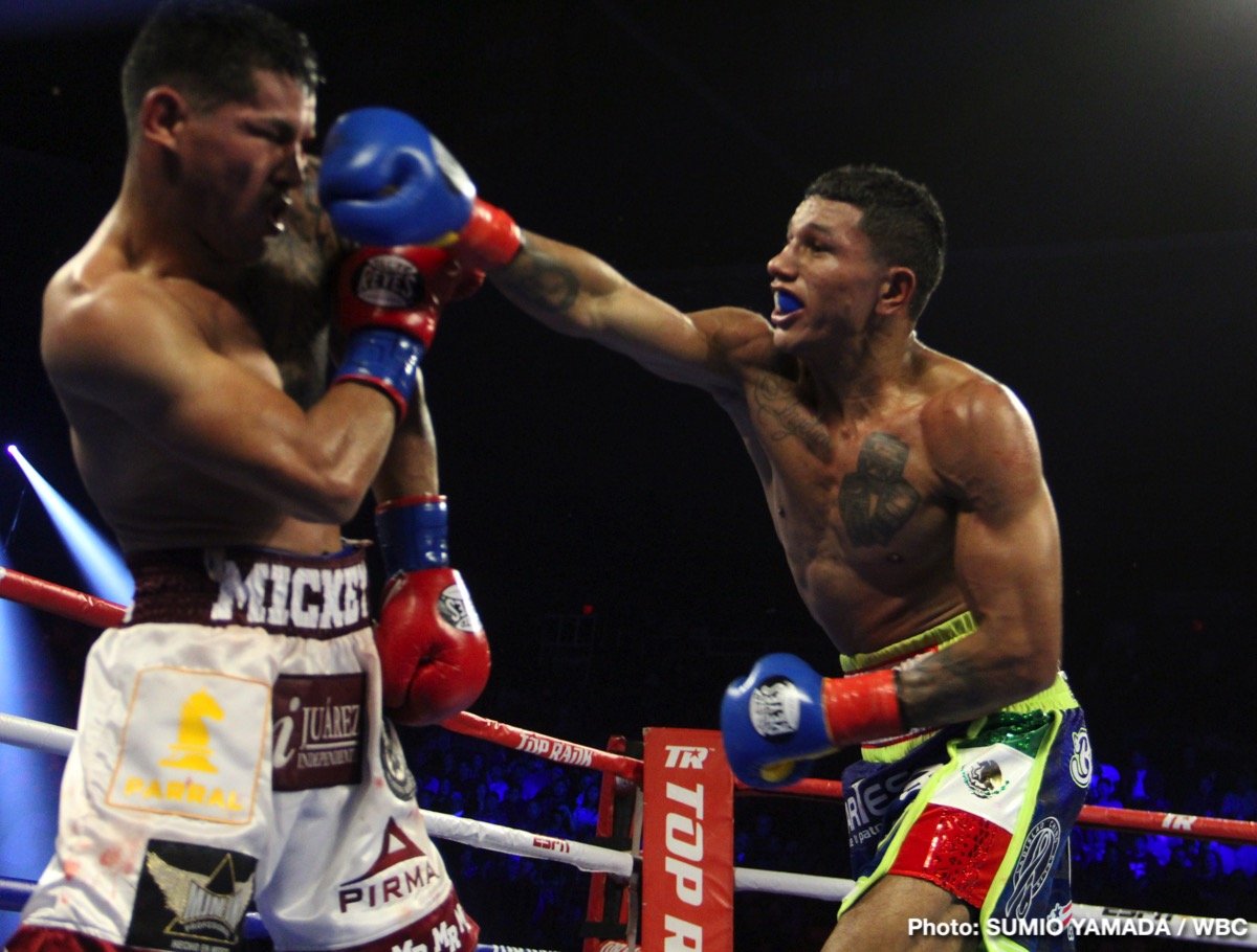 Miguel Berchelt Stops An Incredibly Game Miguel Roman In A Brutal Battle In El Paso