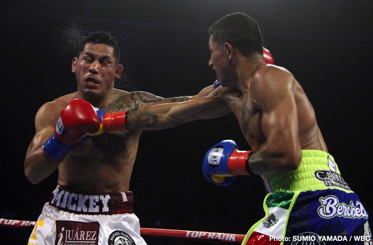 Miguel Berchelt Stops An Incredibly Game Miguel Roman In A Brutal Battle In El Paso