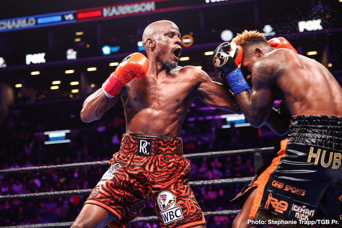 Tony Harrison wants Tim Tszyu fight in Australia
