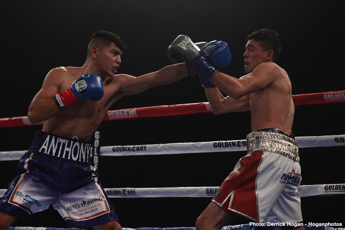 RESULTS: Rene Alvarado scores unanimous decision victory over Carlos Morales