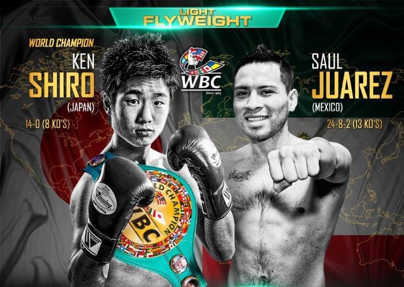 Ken Shiro vs. Saul Juarez - WBC statistics Ken Shiro Saul