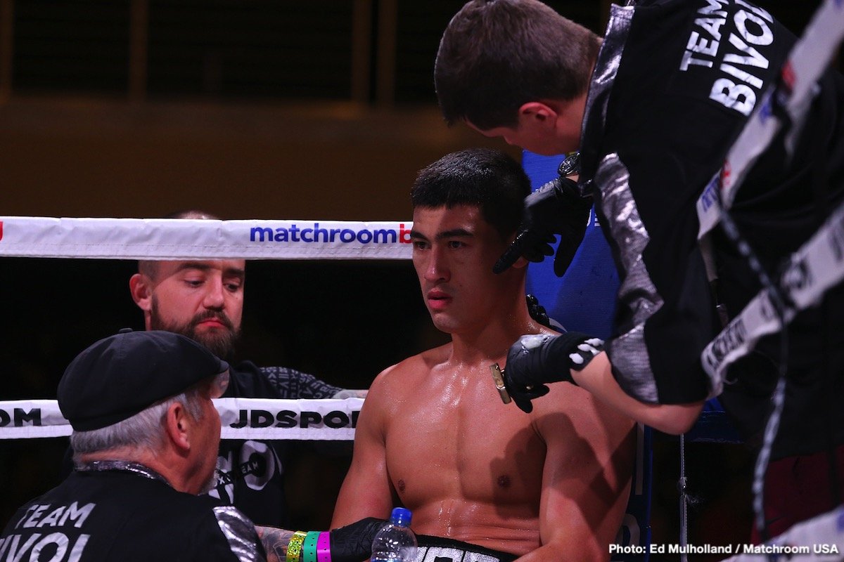 Dimitry Bivol, Umar Salamov boxing image / photo