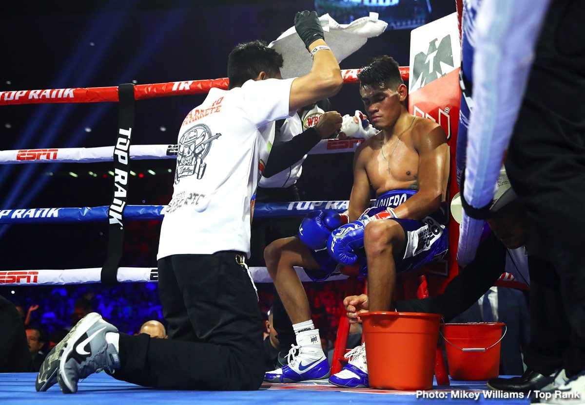 RESULTS: Berchelt and Navarrete Victorious