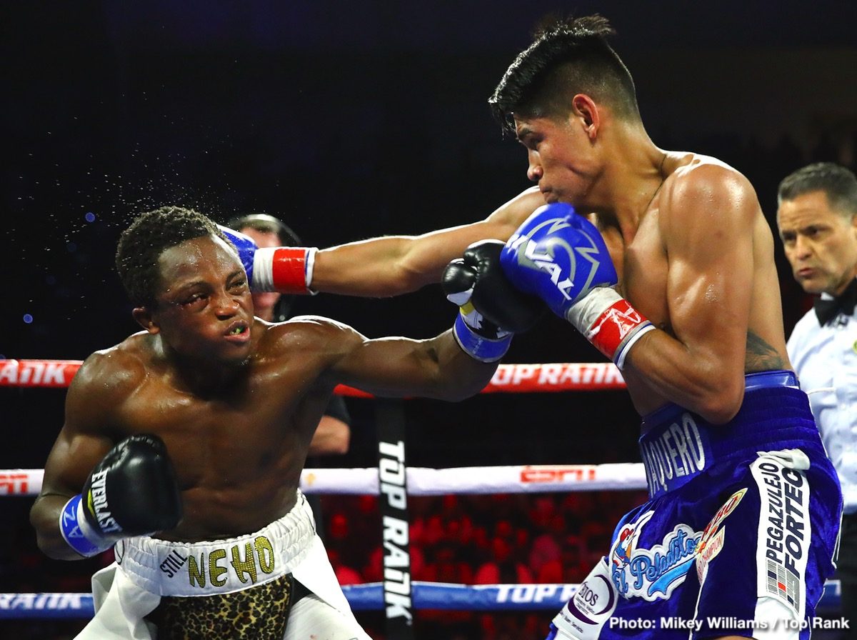 RESULTS: Berchelt and Navarrete Victorious