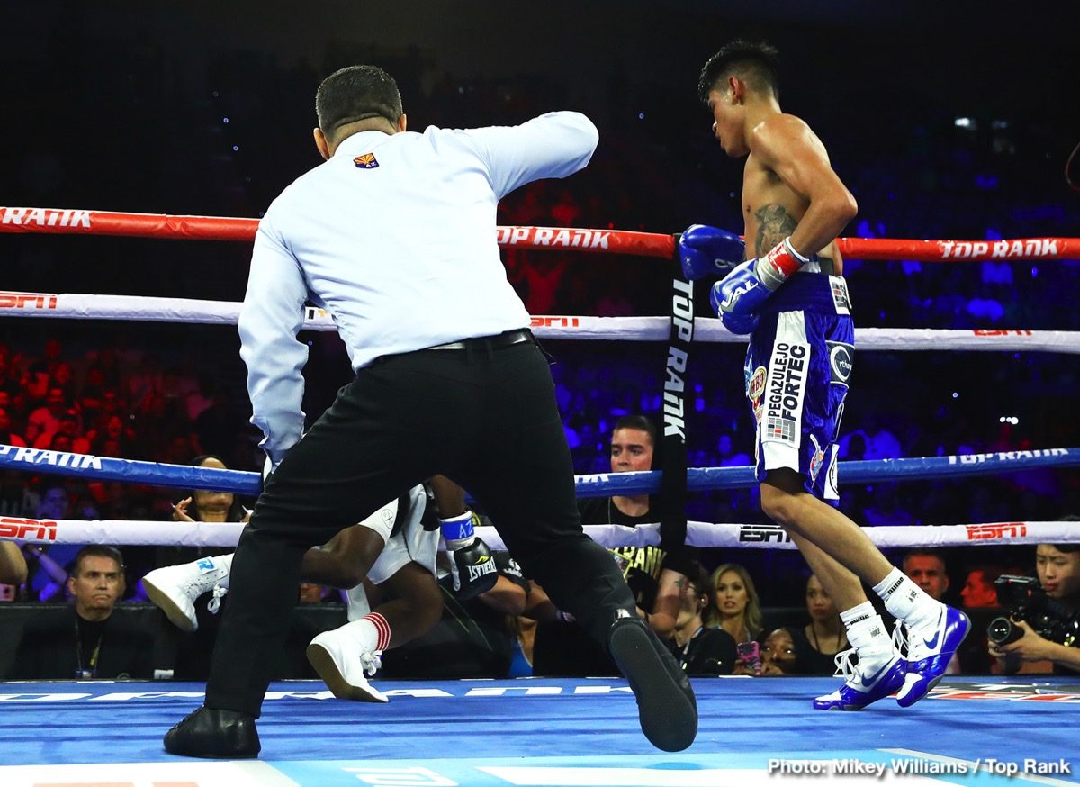 RESULTS: Berchelt and Navarrete Victorious