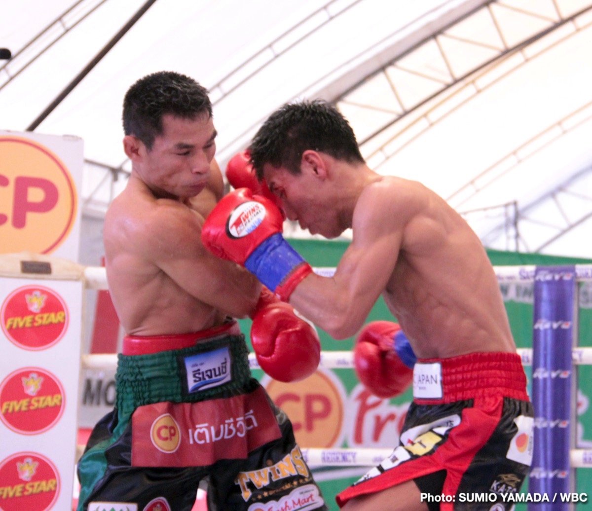 Tatsuya Fukuhara Wanheng Menayothin Boxing News Boxing Results