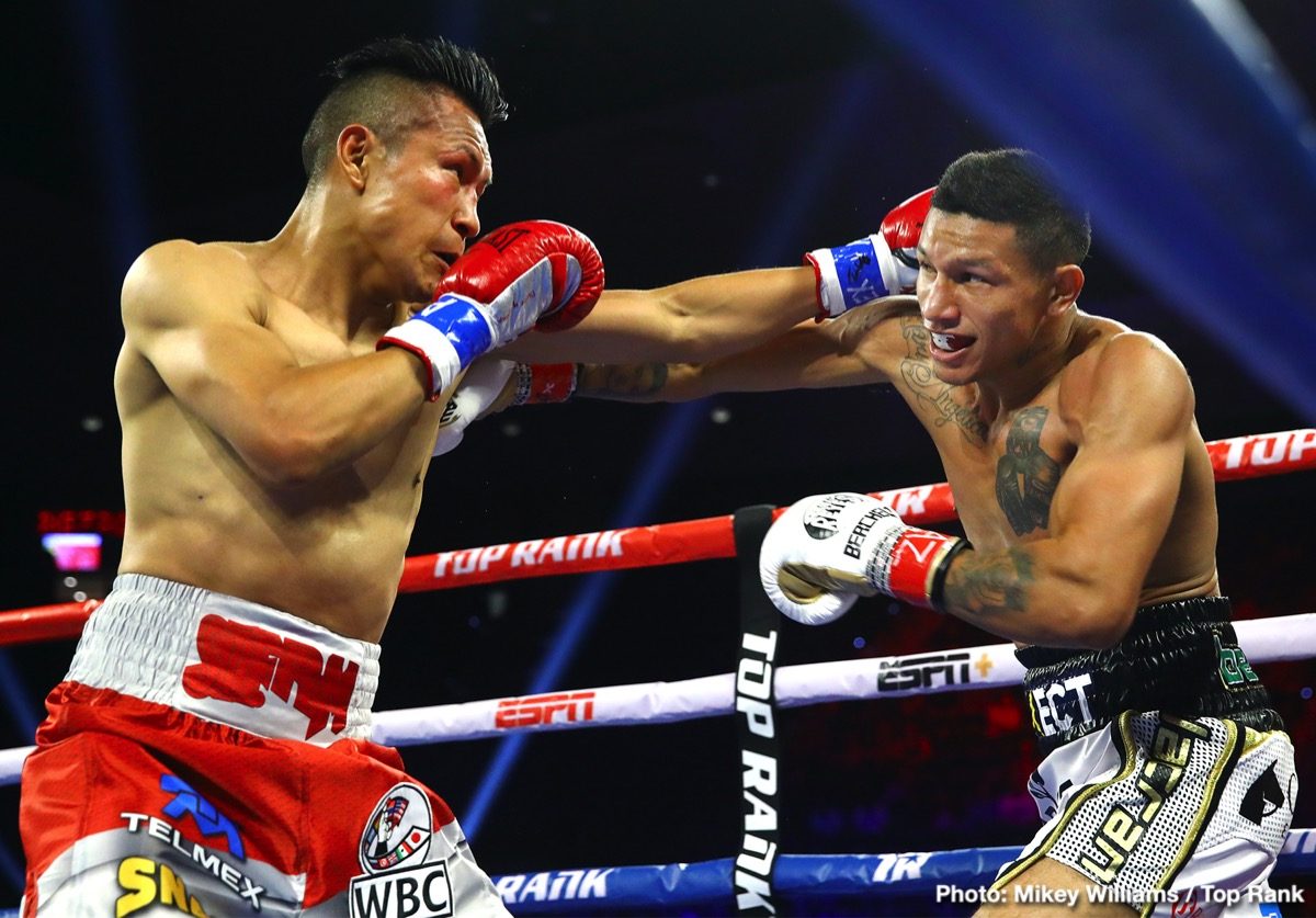 RESULTS: Berchelt and Navarrete Victorious