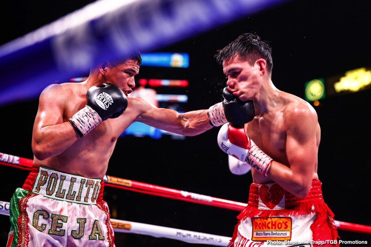 RESULTS: Wilder KOs Ortiz In Seven, Santa Cruz Wins