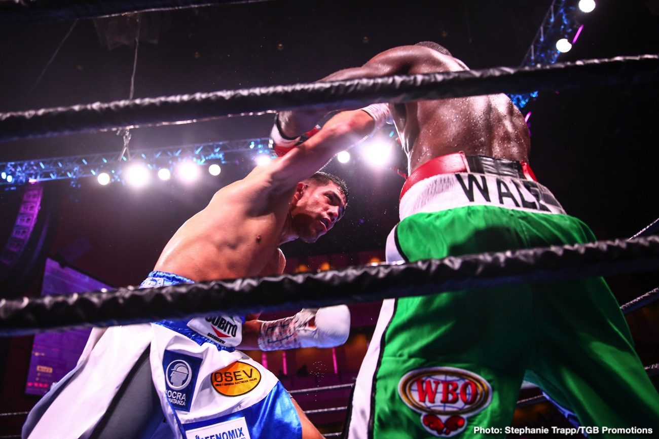 RESULTS: Castaño Defeats Omotoso, Fortuna Stops Cuellar