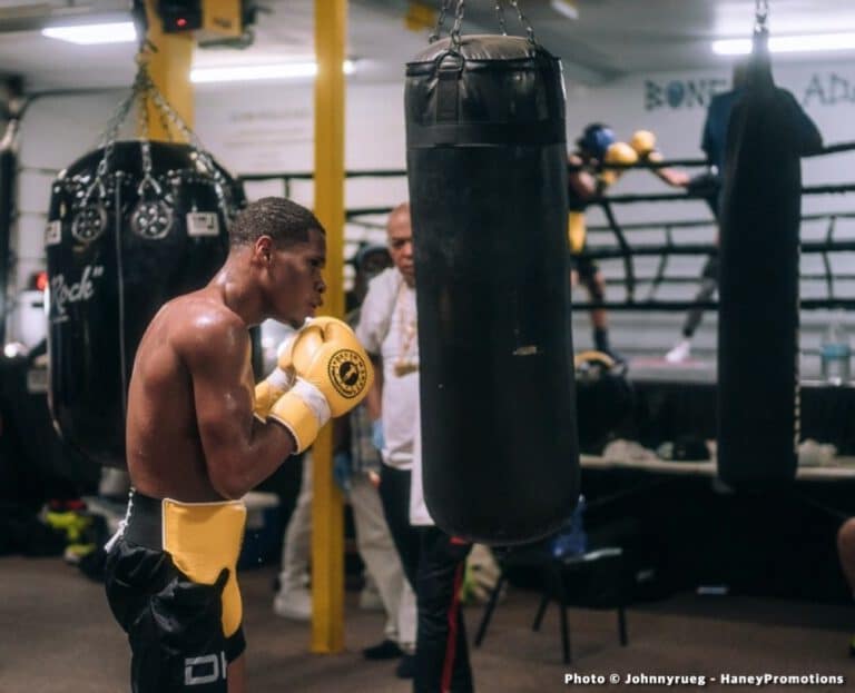 Devin Haney Trainig Quotes / Photos For Jorge Linares Fight