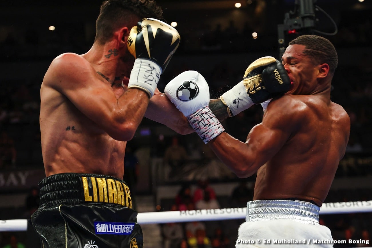 Jorge Linares: "He has no power" - reacts to loss to Devin Haney