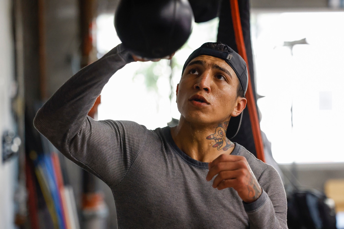 Gervonta Davis, Mario Barrios boxing image / photo