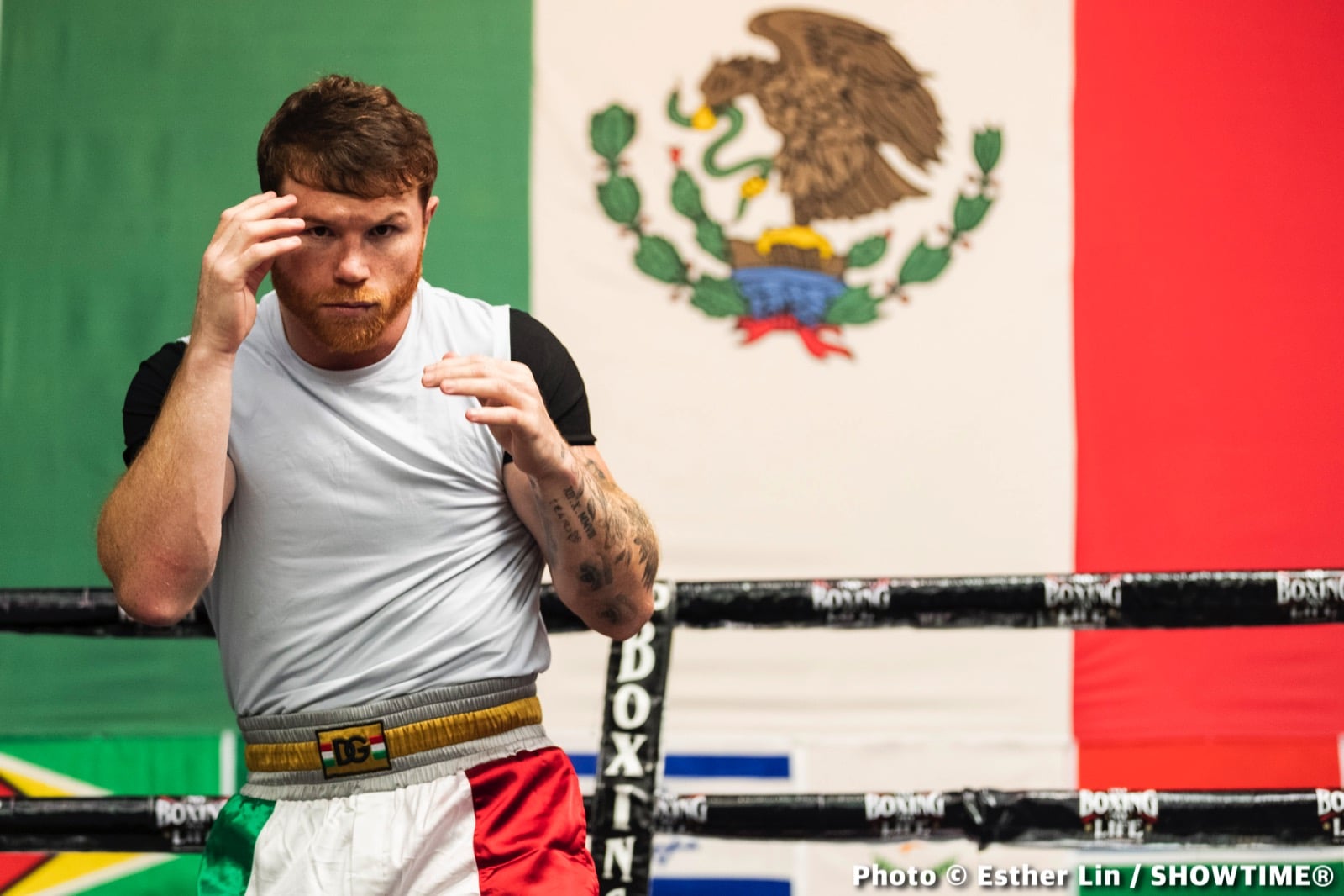Eddy Reynoso boxing image / photo