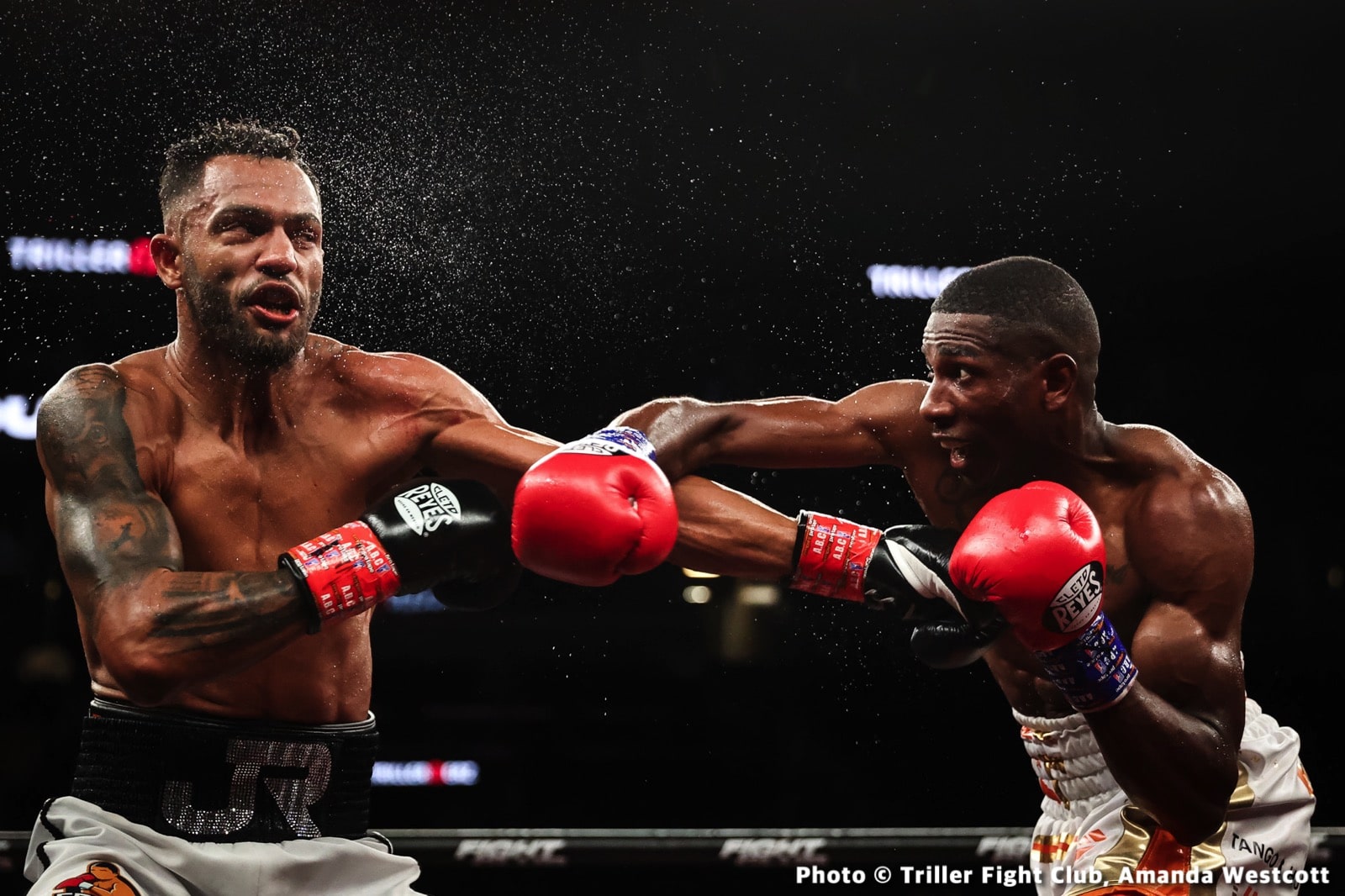Brooklyn’s Cletus Seldin Scores Massive Knockout At Trillerverz III