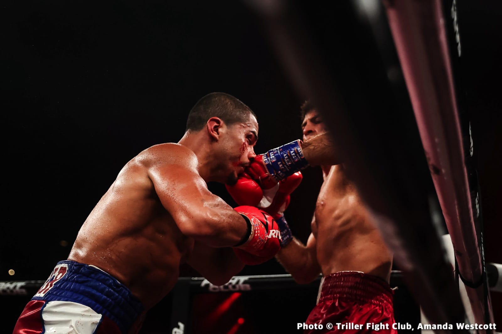Brooklyn’s Cletus Seldin Scores Massive Knockout At Trillerverz III
