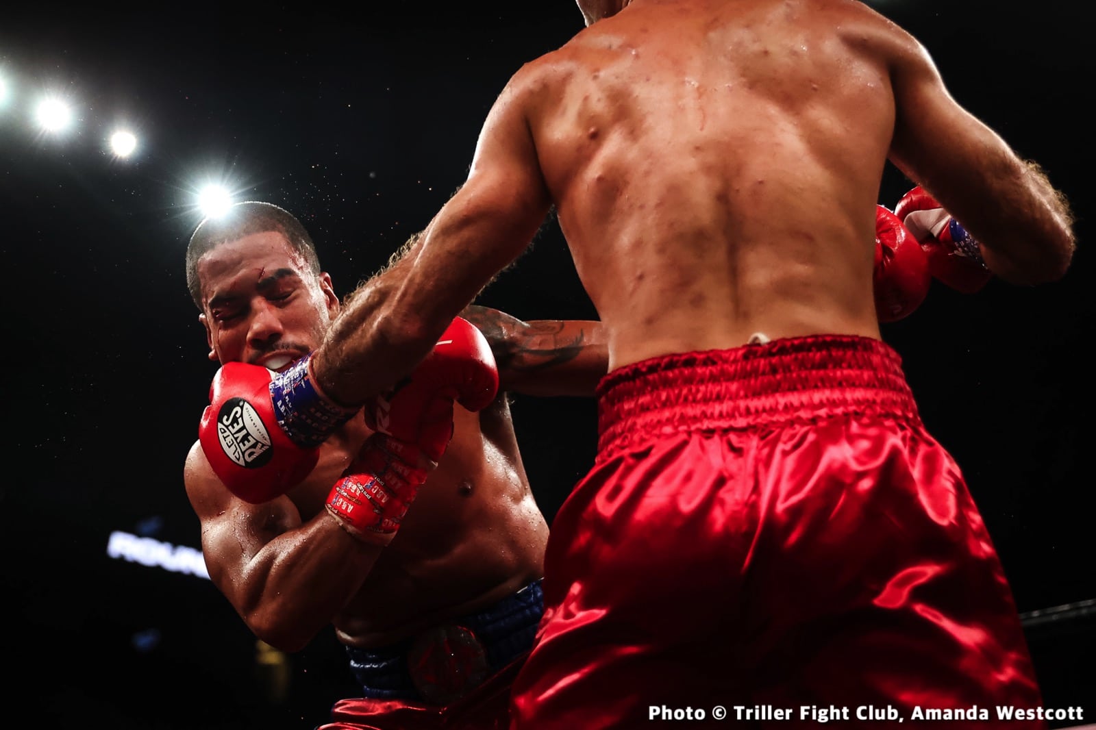 Brooklyn’s Cletus Seldin Scores Massive Knockout At Trillerverz III