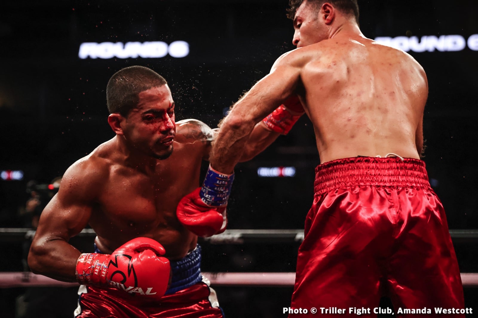 Brooklyn’s Cletus Seldin Scores Massive Knockout At Trillerverz III