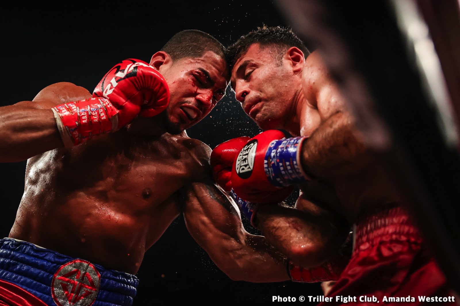 Brooklyn’s Cletus Seldin Scores Massive Knockout At Trillerverz III