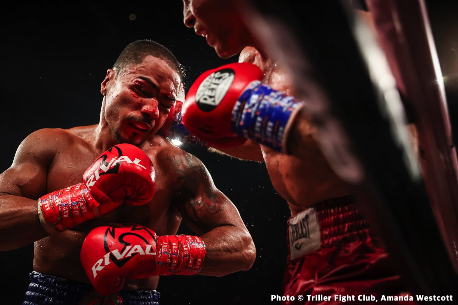 Brooklyn’s Cletus Seldin Scores Massive Knockout At Trillerverz III